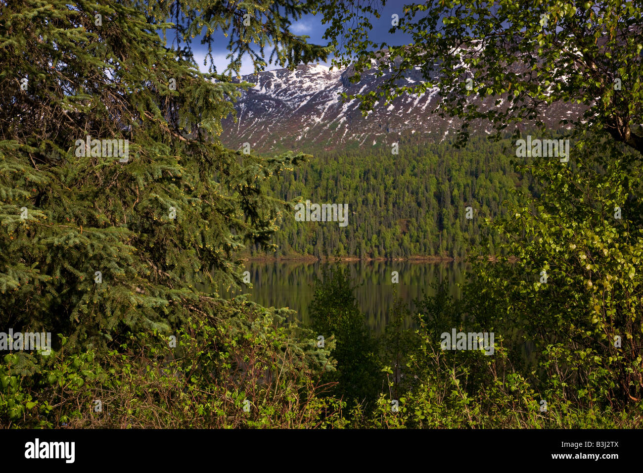 Byers Lago Denali State Park Alaska Foto Stock