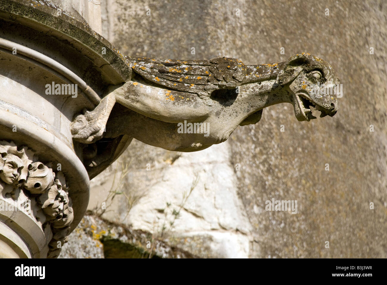 Uccello con testa di cane gargoyle sul francese castello classico Foto Stock