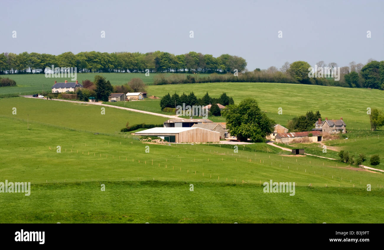 Azienda agricola e campi in Dorset, Regno Unito Foto Stock