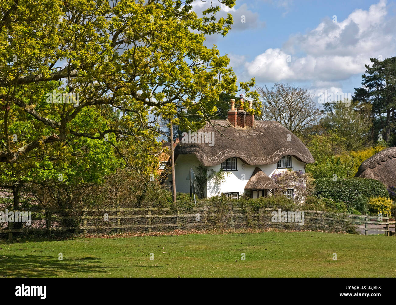 New Forest cottage con il tetto di paglia, Hampshire, Regno Unito Foto Stock