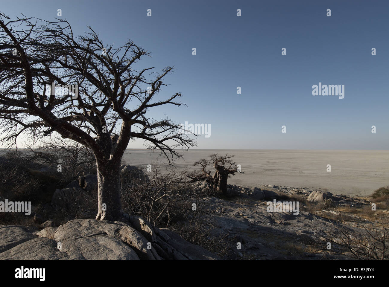 Pentole makgadigadi botswana Foto Stock