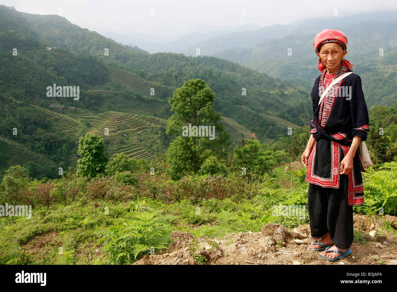 Tay tribeswoman, Ha Giang Provincia, Vietnam Foto Stock