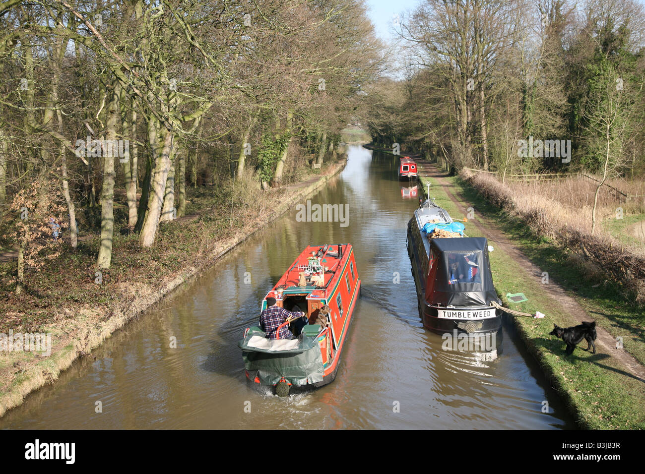 Strette barche ormeggiate on Trent e Mersey Canal, Radlett, Marston, Vale Royal, Cheshire, Inghilterra, Regno Unito Foto Stock