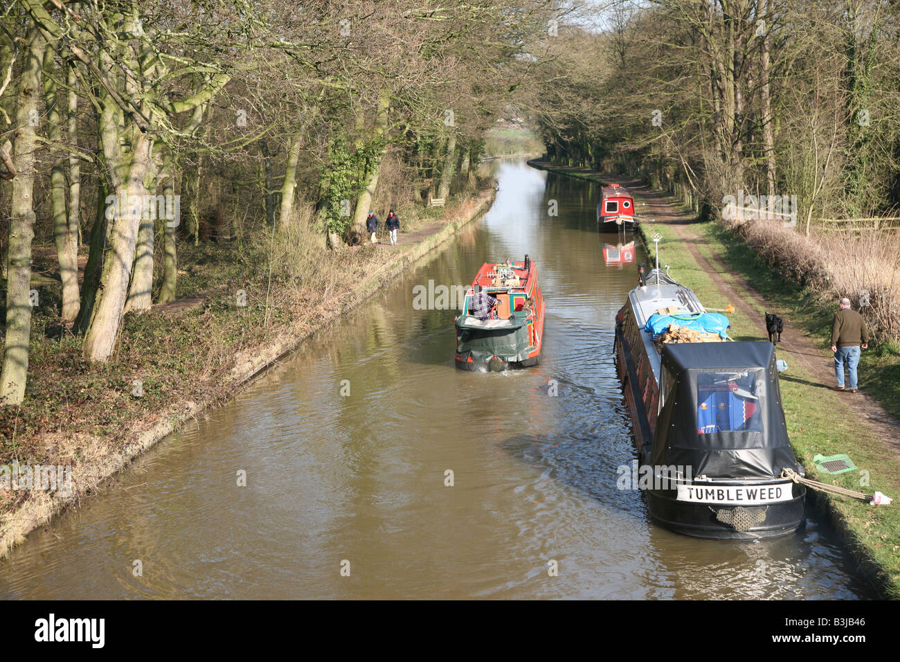 Strette barche ormeggiate on Trent e Mersey Canal, Radlett, Marston, Vale Royal, Cheshire, Inghilterra, Regno Unito Foto Stock