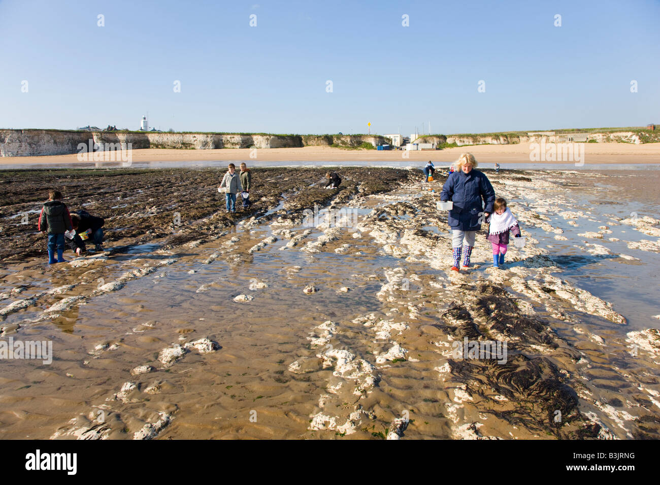 Rock pool evento educativo a Joss Bay nel Kent Foto Stock
