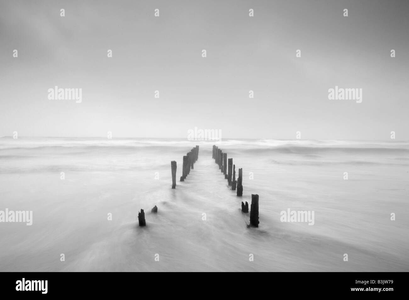 Pennelli a St Clair beach Foto Stock