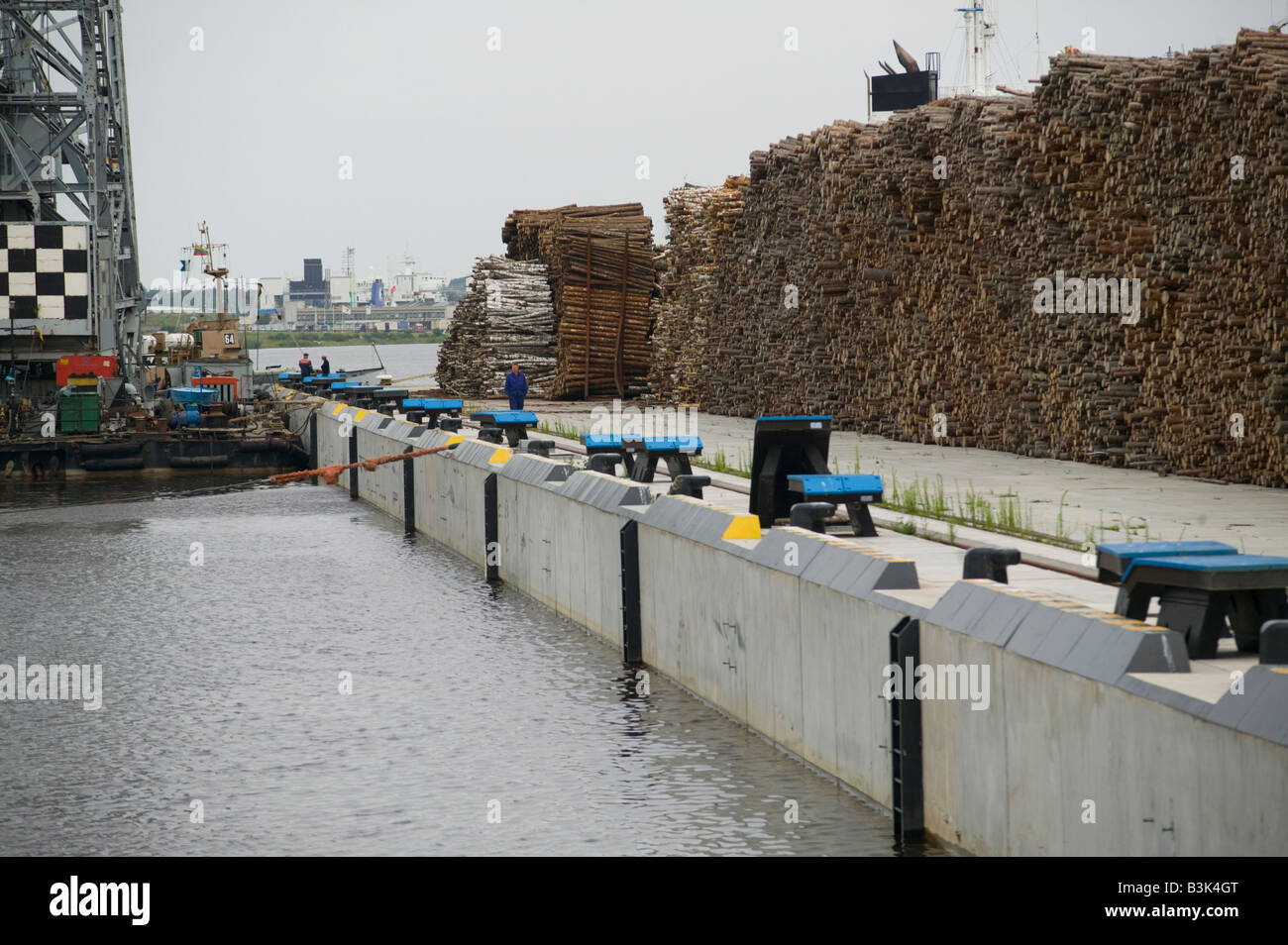 Legno di betulla in attesa di esportazione accatastati sulla banchina nel porto di Klaipeda Lituania Foto Stock