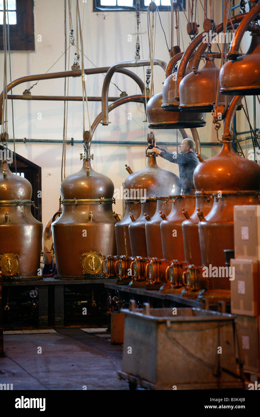 Luglio 2008 - La distilleria presso il Palais erano benedettino che producono il liquore benedettino Fecamp Normandia Francia Foto Stock