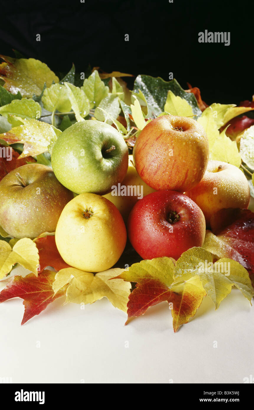 Le mele sulla lamina close up composizione pommes sur feuilles Foto Stock