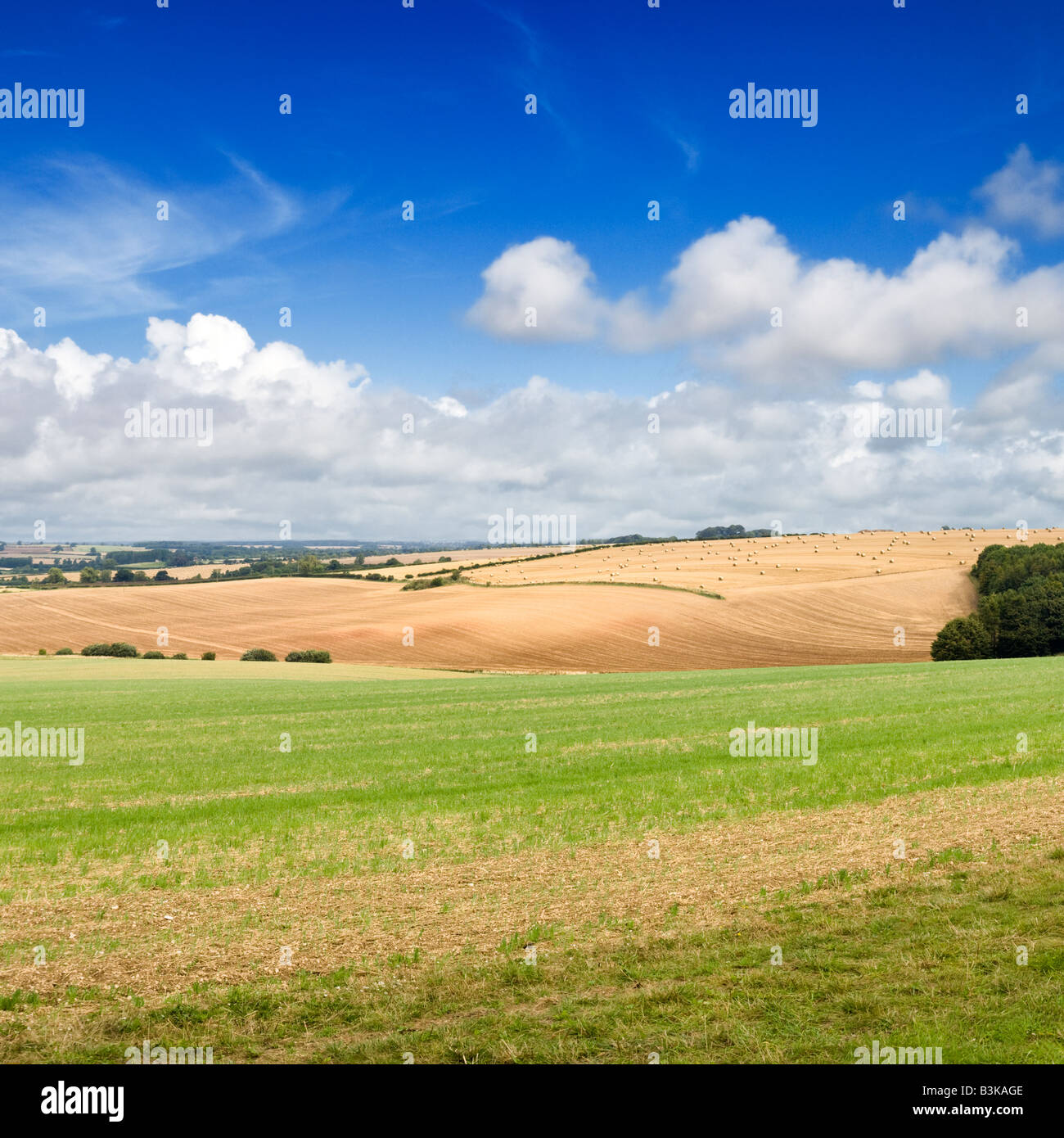 Paesaggio di campagna inglese del Lincolnshire Wolds, Inghilterra. Terreni agricoli, Regno Unito Foto Stock