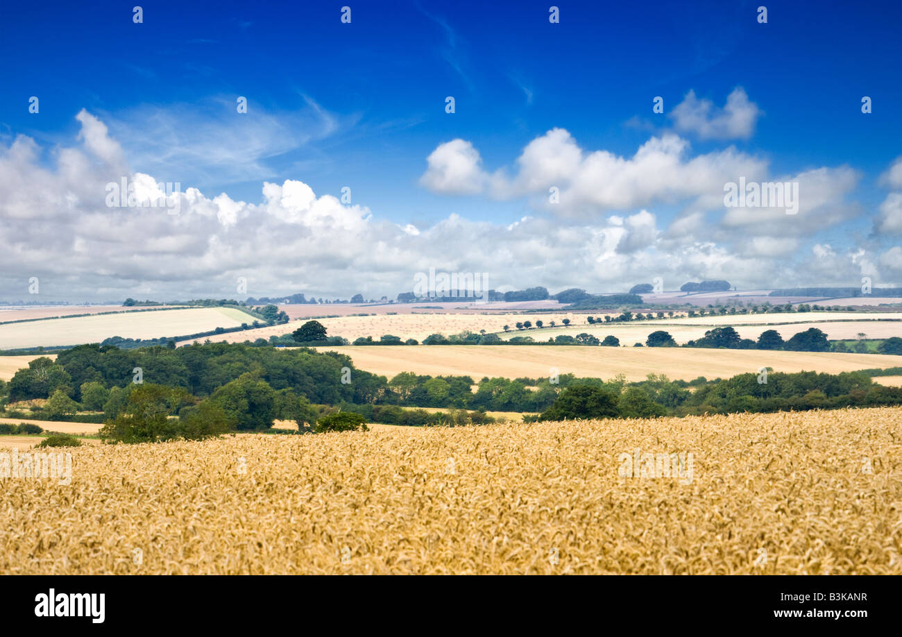 Lincolnshire Wolds, campagna inglese, England, Regno Unito Foto Stock