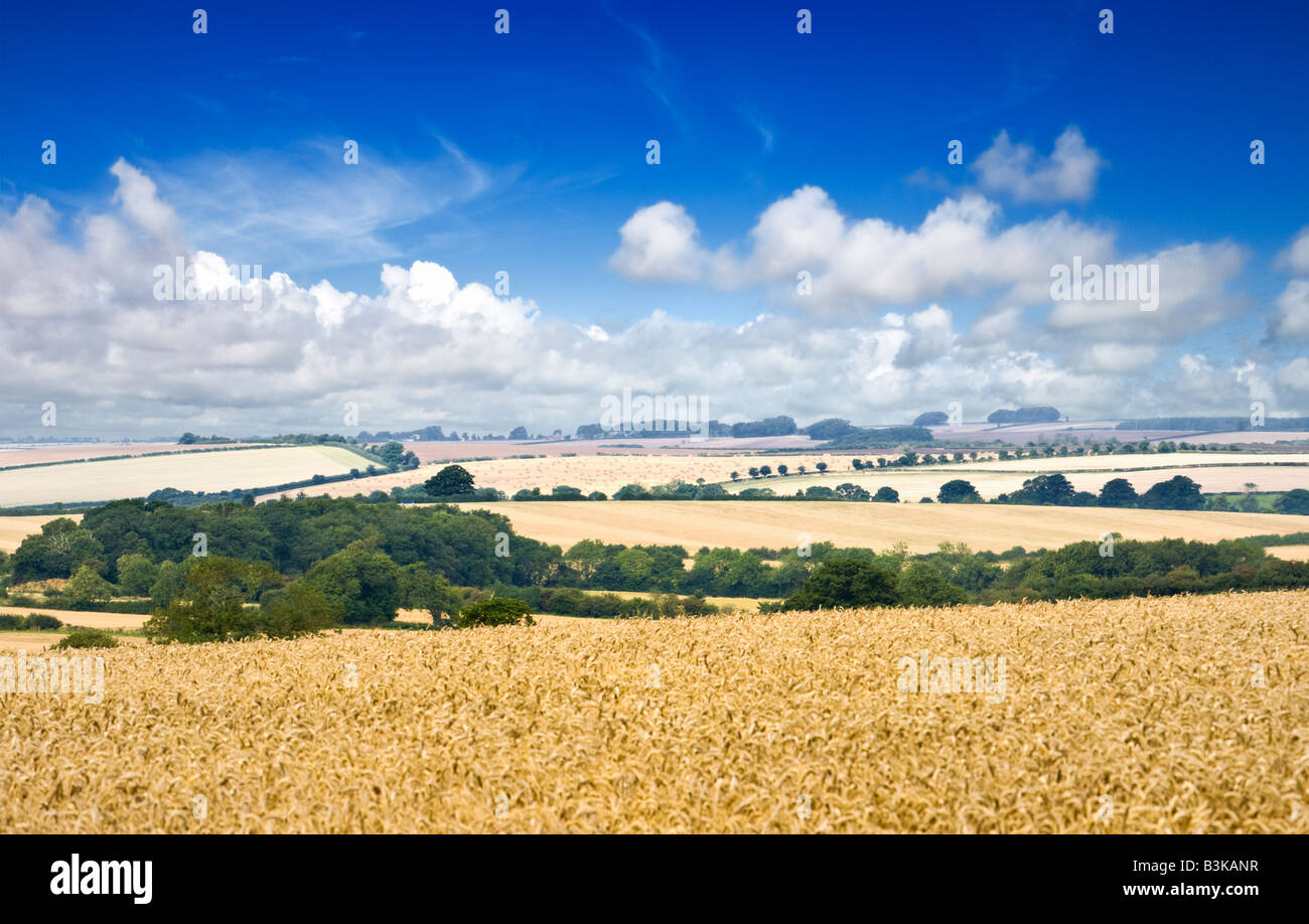 Panorama del Regno Unito. Lincolnshire Wolds, campagna inglese, Inghilterra, Regno Unito Foto Stock
