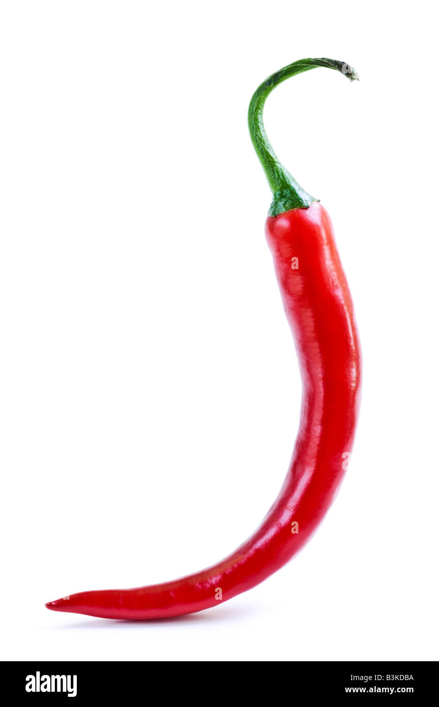 Red hot chili pepper isolati su sfondo bianco Foto Stock