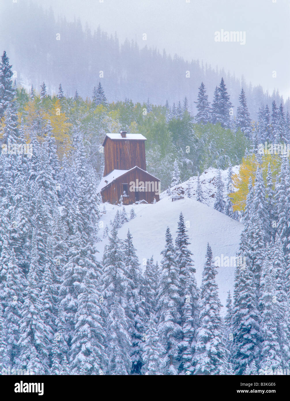 Struttura di data mining con nuova nevicata caduta e colorato Uncompahgre aspens Foresta Nazionale di Colorado Foto Stock