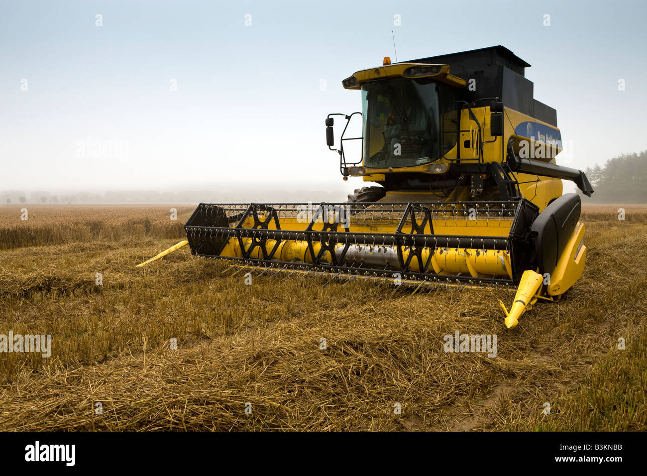 La pioggia impedisce ai coltivatori di grano dalla raccolta portando il raccolto a un arresto nel Wiltshire in agosto 2008 Foto Stock