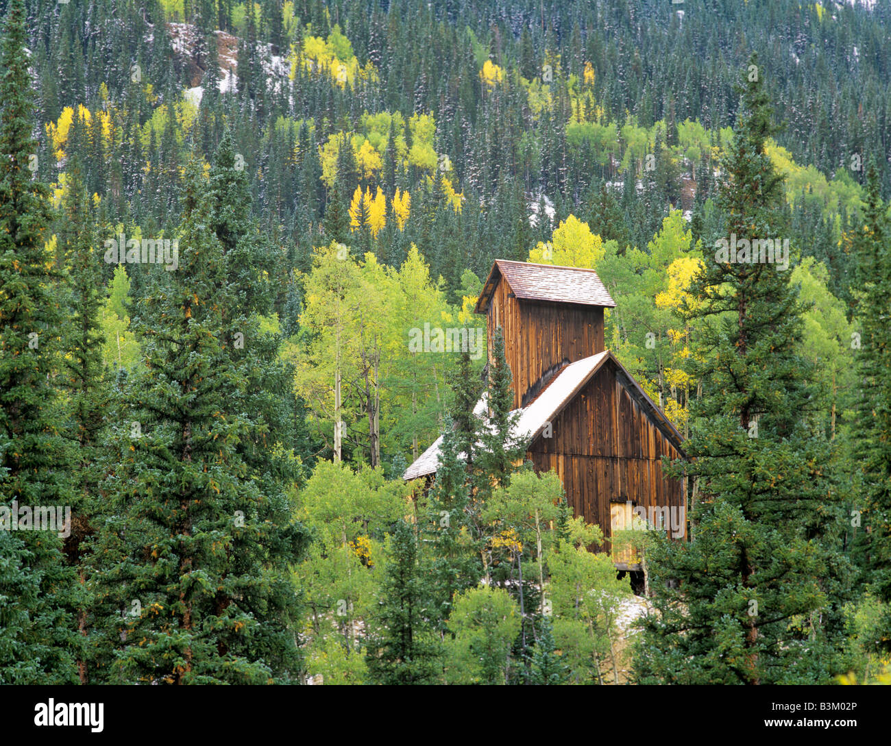 Struttura di data mining con deboli nevicate e cadere colorate Uncompahgre aspens Foresta Nazionale di Colorado Foto Stock