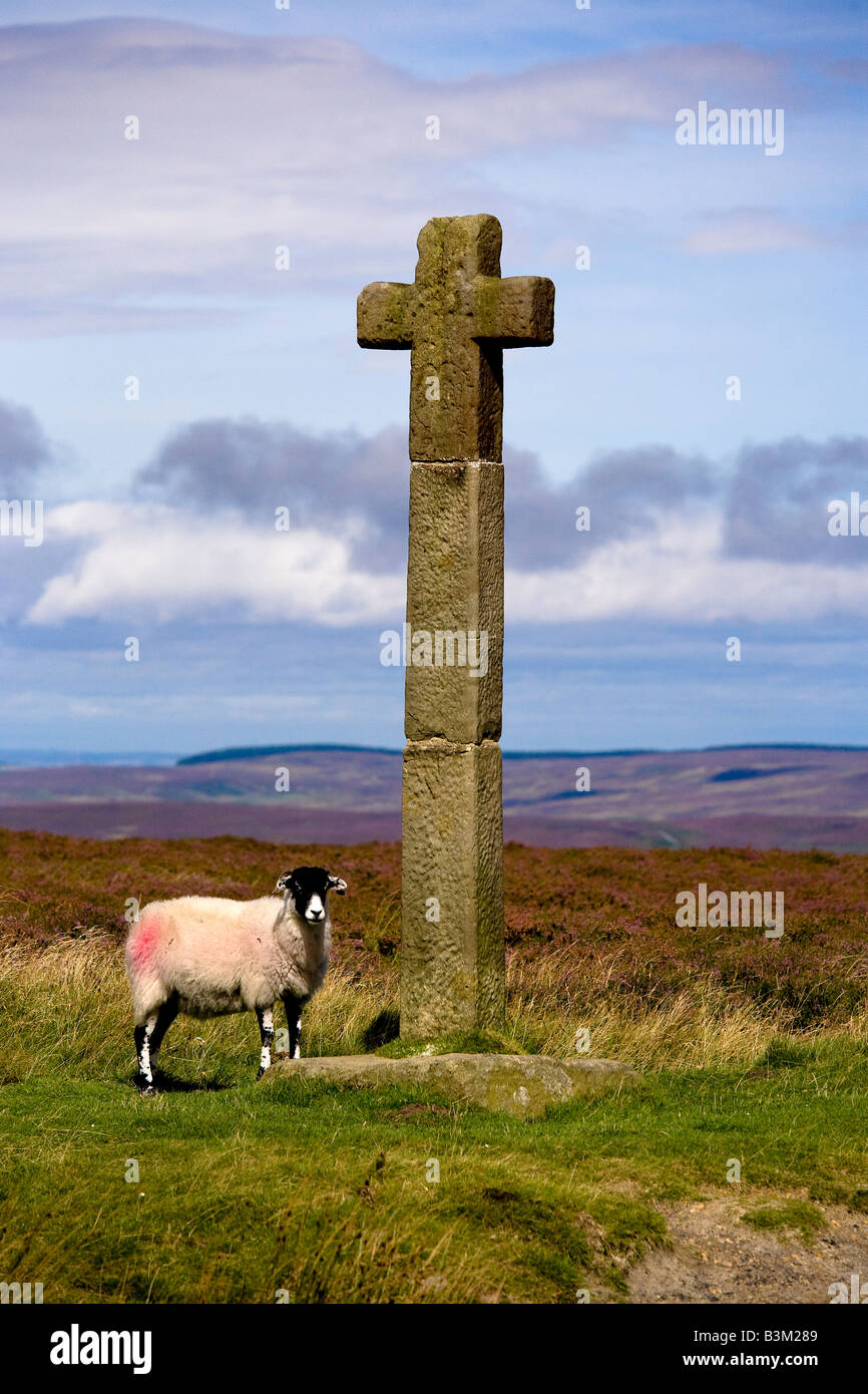 Ralphs Croce simbolo del Parco nazionale di Park North York Moors National Park Foto Stock