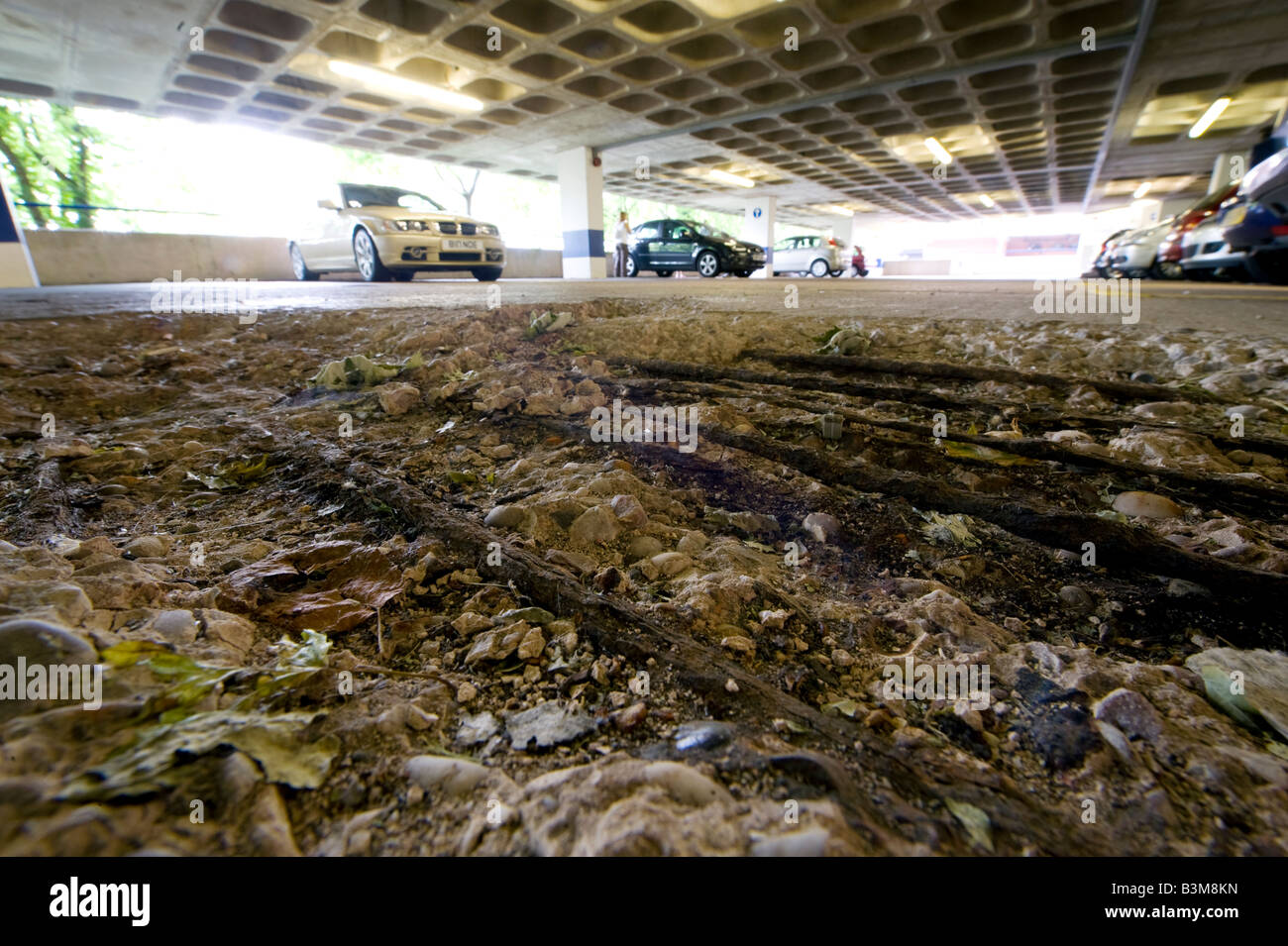 Barre di acciaio, sepolti nel calcestruzzo di uno di Britains molti parcheggi multipiano sono esposte dopo anni di usura e di rottura Foto Stock