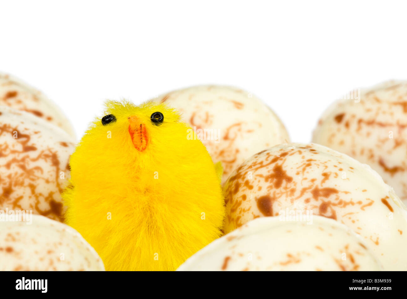 Pulcino di pasqua con le uova di pasqua e sfondo bianco Foto Stock