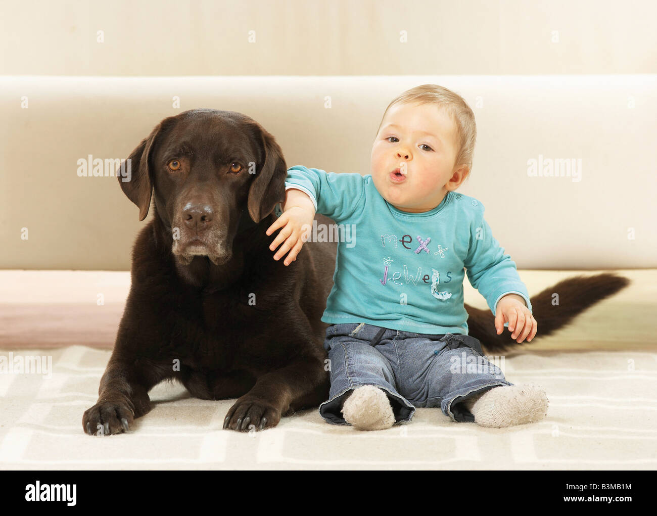 Ragazza e Labrador Retriever Foto Stock