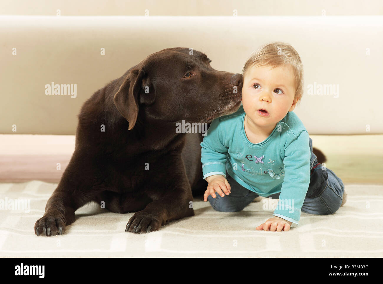 Ragazza e Labrador Retriever Foto Stock