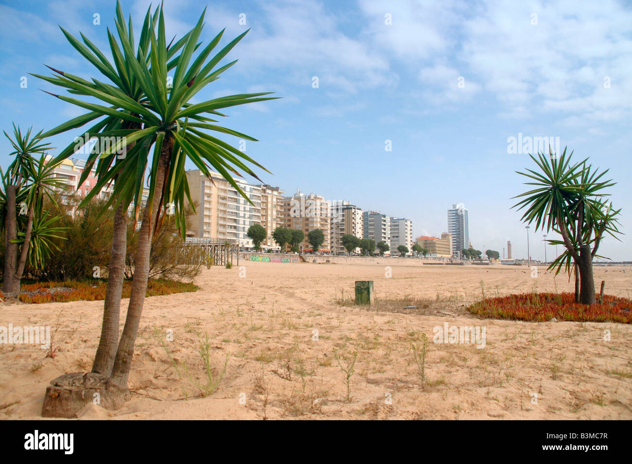 Il lungomare della città di Figueira da Foz,Portogallo, incorniciato da palme in spiaggia di sabbia Foto Stock