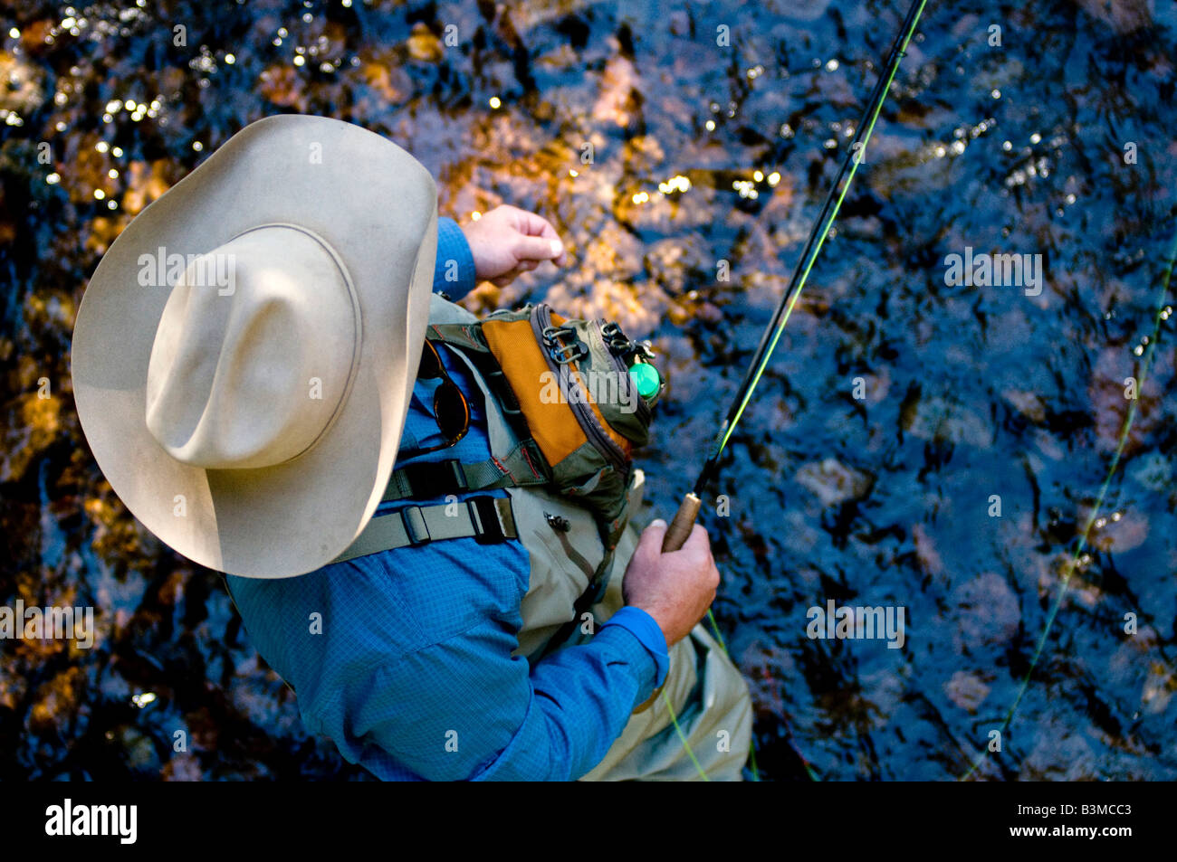 Residente locale volare i pesci per la pesca alla trota sul Gore Creek, Vail Colorado in agosto. Foto Stock