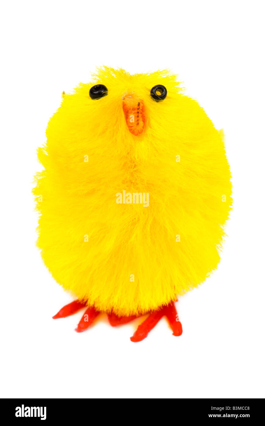 Giallo pulcino di pasqua isolato su uno sfondo bianco Foto Stock