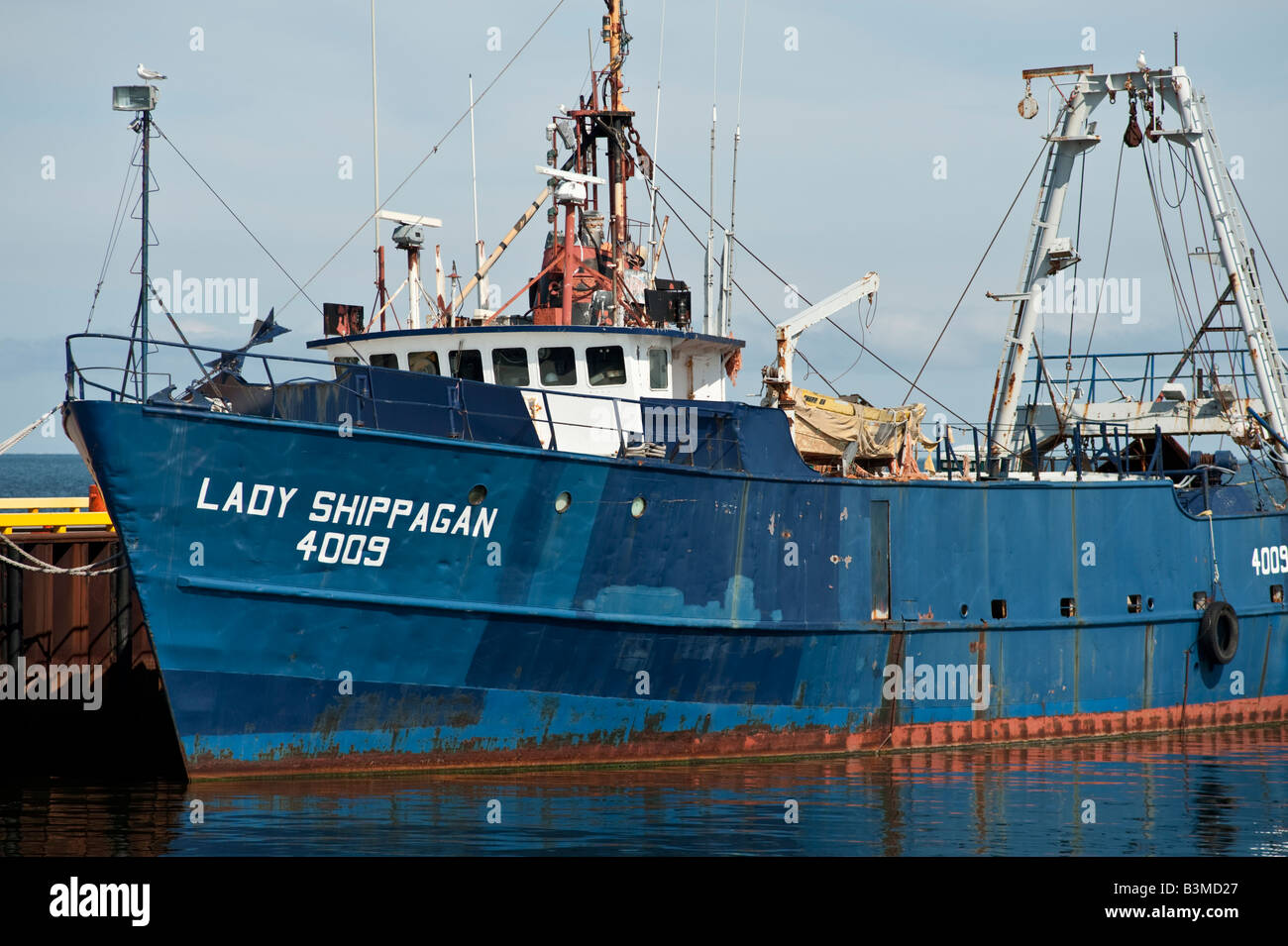 Borsa con sciabica una barca da pesca in Caraquet New Brunswick pontile di pesca Foto Stock