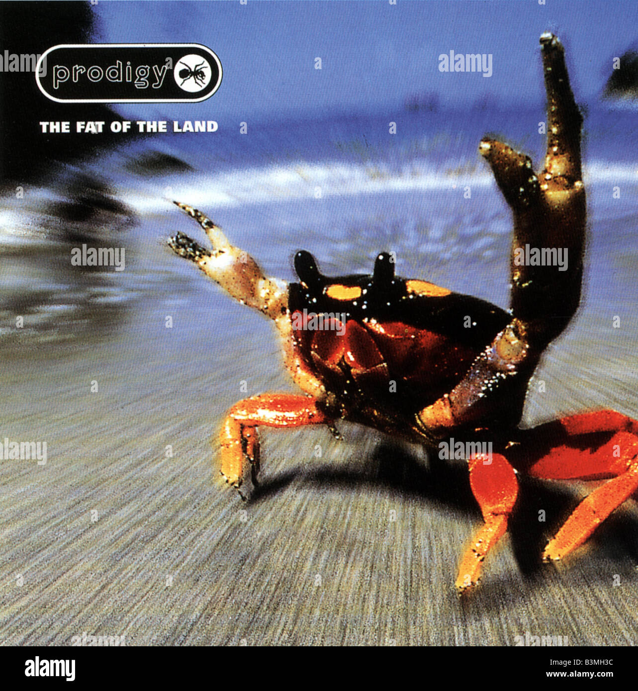 PRODIGY UK del gruppo rock album coprire il grasso della Terra dotato di Sally Lightfoot crab Foto Stock