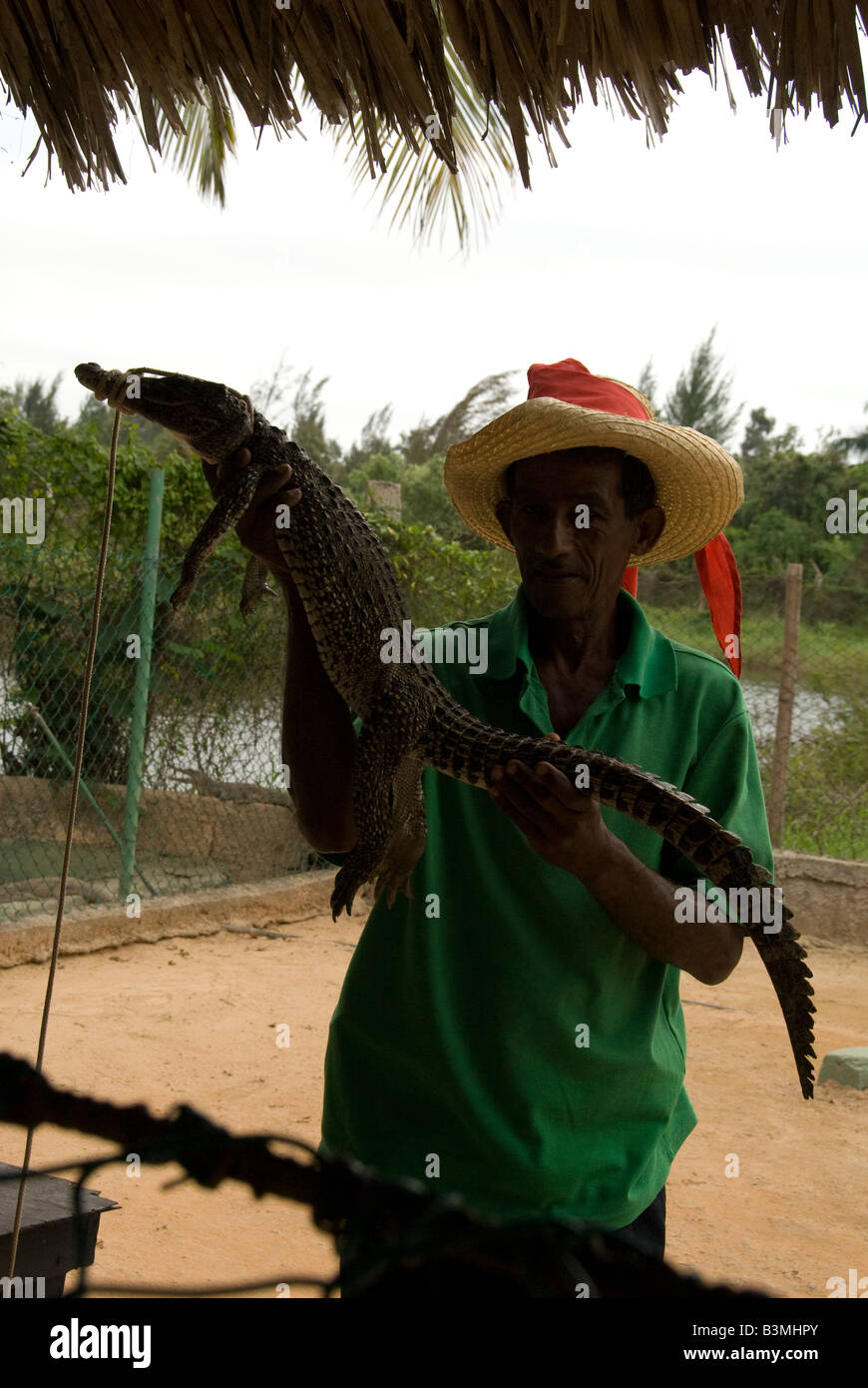 Zoo un uomo con un coccodrillo Foto Stock