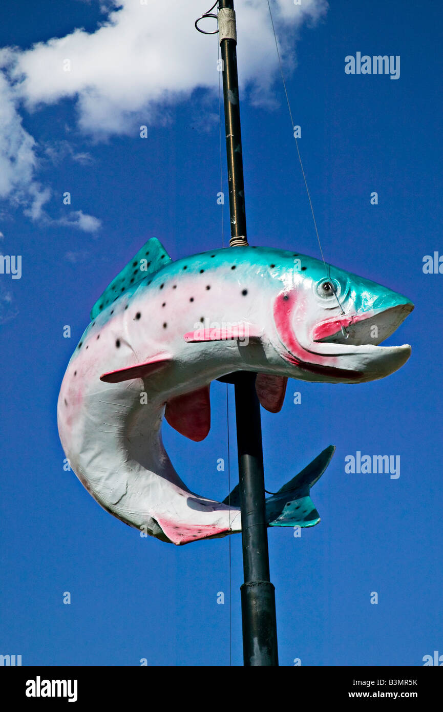 Trota di segno di pesce sulla pesca polo Americana Foto Stock