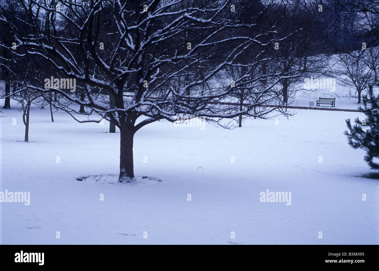 Neve incontaminata nei giardini botanici di Edimburgo Foto Stock