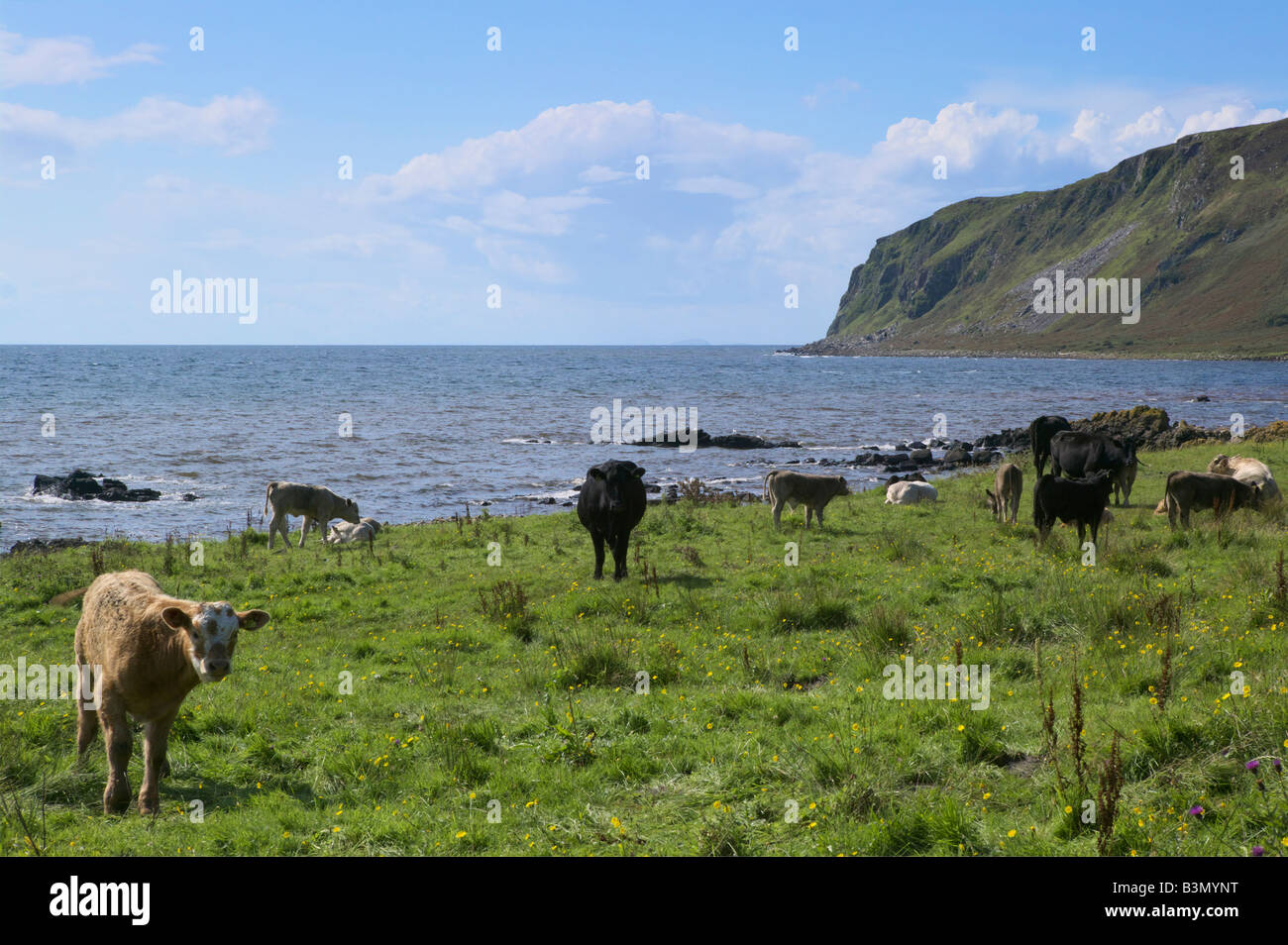 Vista verso la testa Bennan, Isle of Arran, North Ayrshire, in Scozia, Regno Unito. Foto Stock
