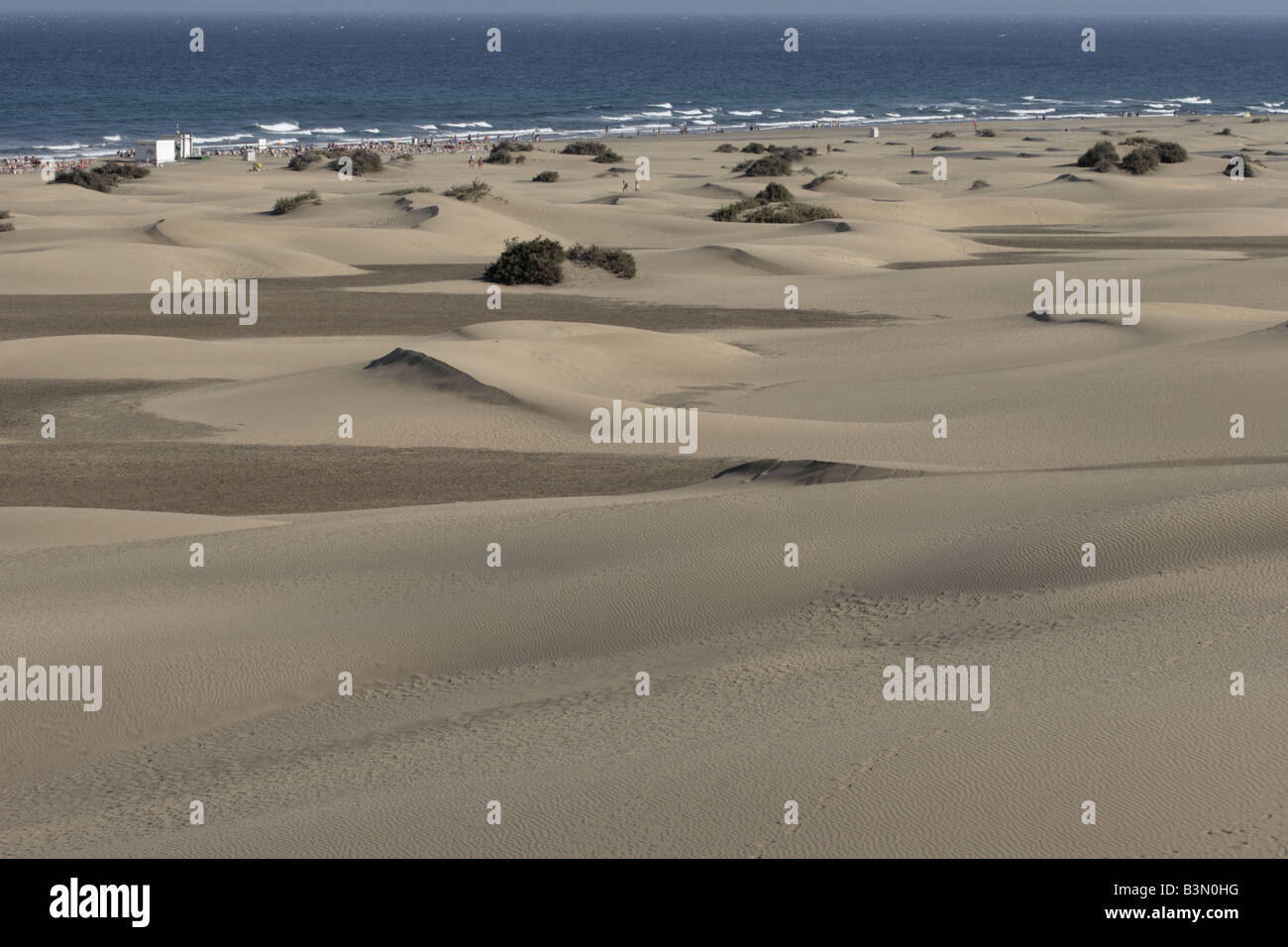 Le dune di sabbia a Maspalomas a 250 ettari di riserva naturale scolpite dal vento del sud di Gran Canaria Isole Canarie Spagna Foto Stock