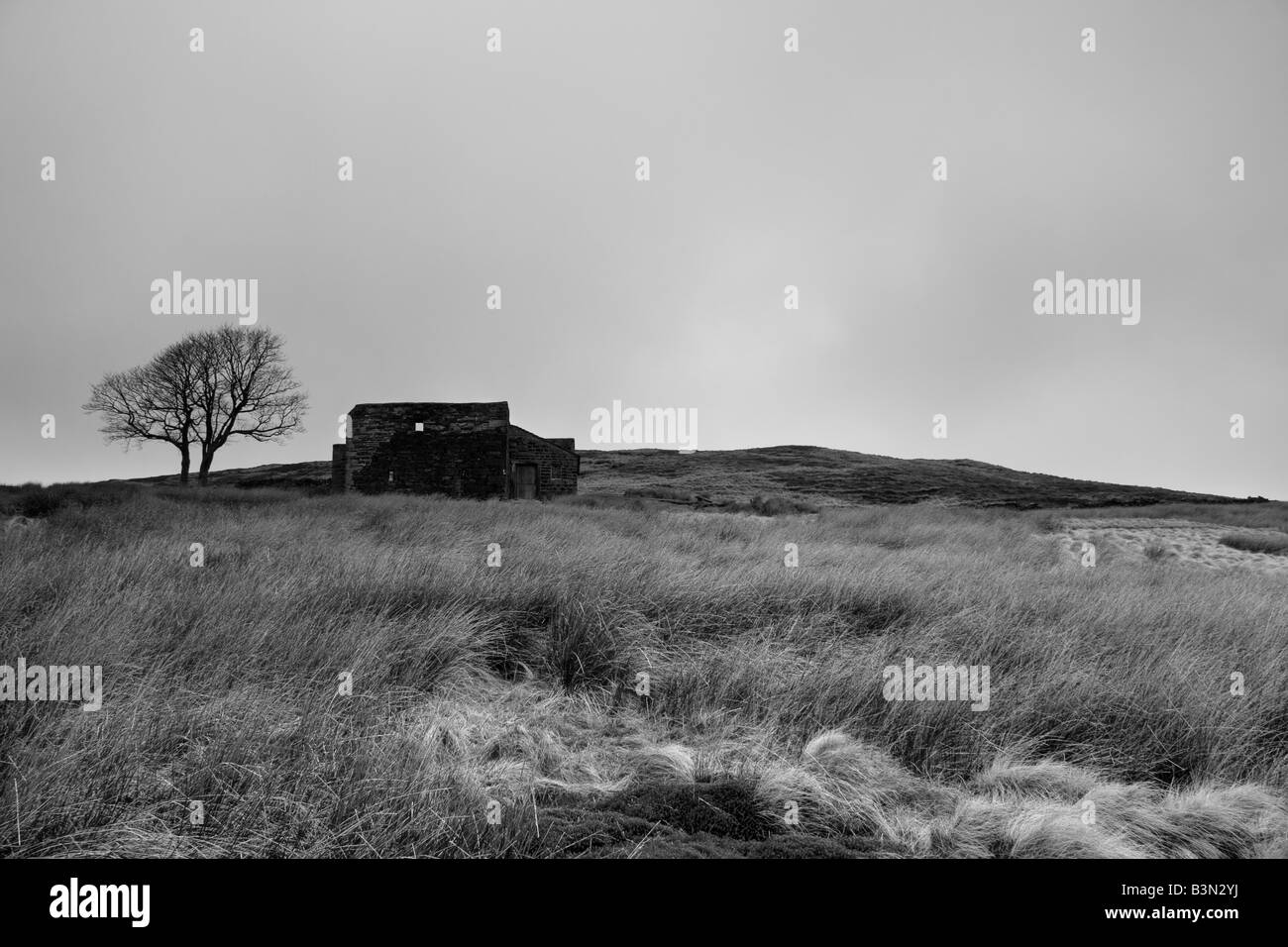 Top Withens, vicino Haworth. Top Withens è pensato di avere ispirato Emily Brontes Wuthering Heights Foto Stock