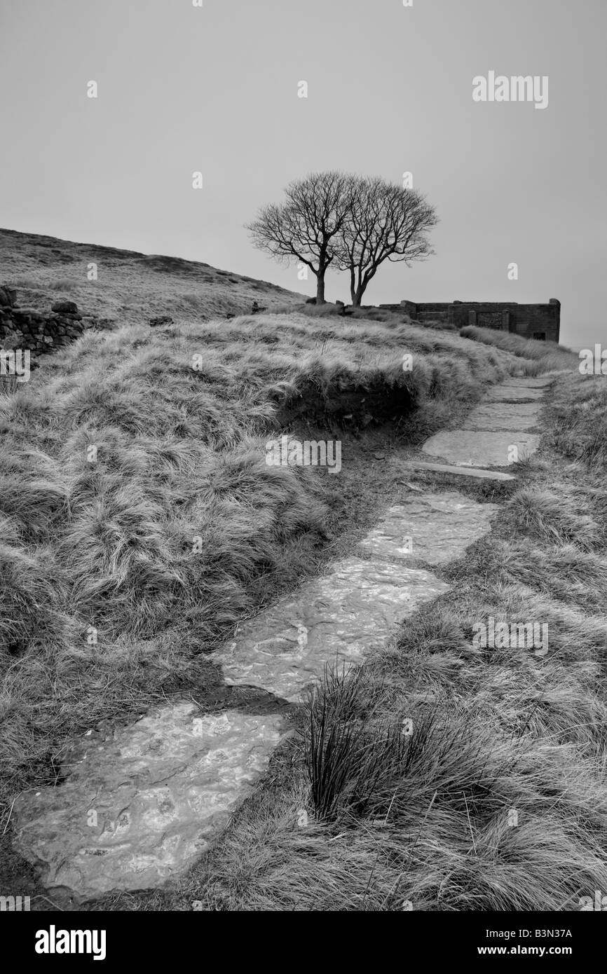 Il sentiero in alto Withens, vicino Haworth. Top Withens è pensato di avere ispirato Emily Brontes Wuthering Heights romanzo. Foto Stock