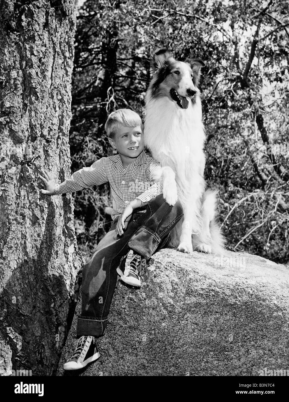 AMERICAN BOY con il suo animale domestico COLLIE circa 1955 Foto Stock
