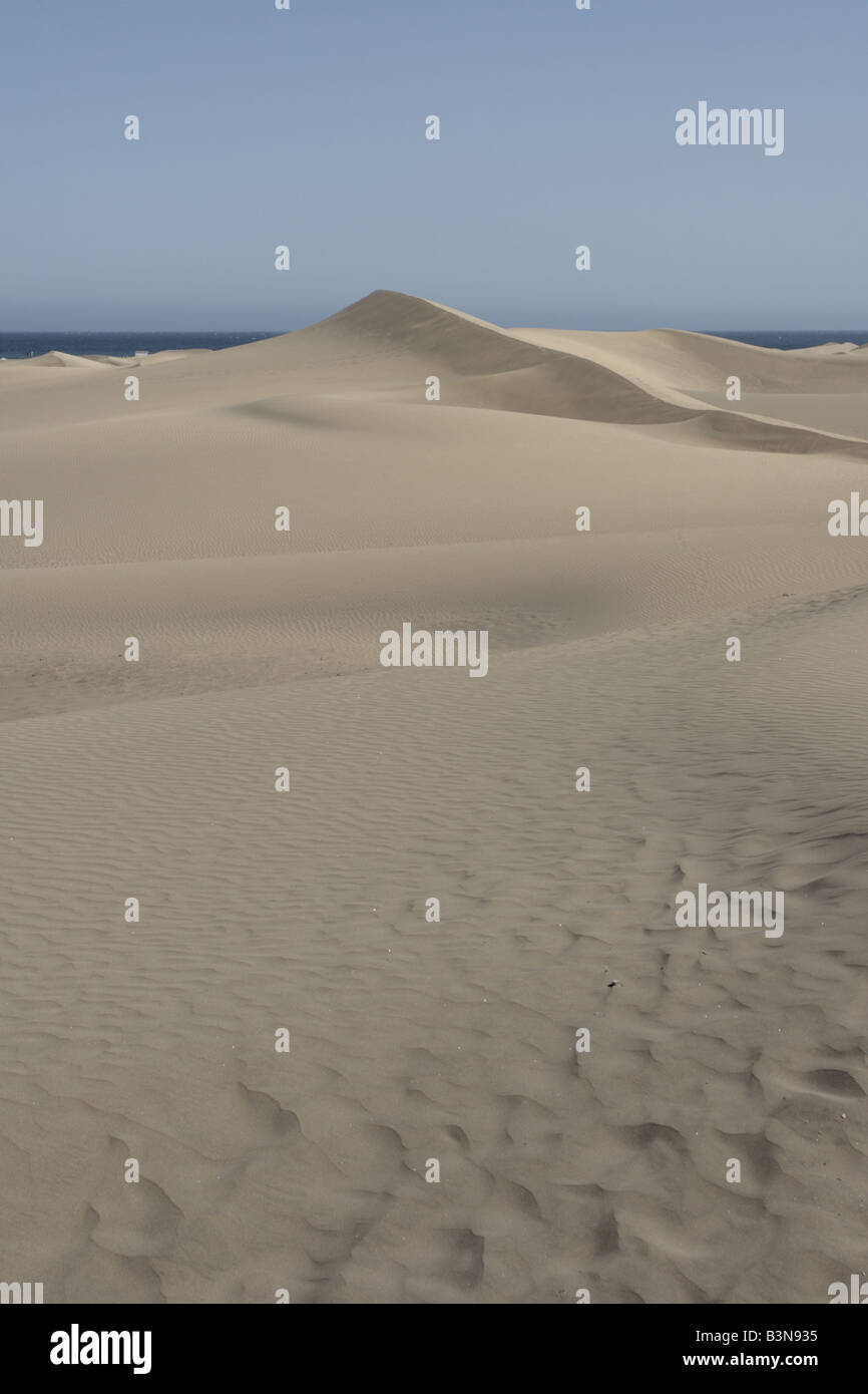 Le dune di sabbia a Maspalomas a 250 ettari di riserva naturale scolpite dal vento del sud di Gran Canaria Isole Canarie Spagna Foto Stock