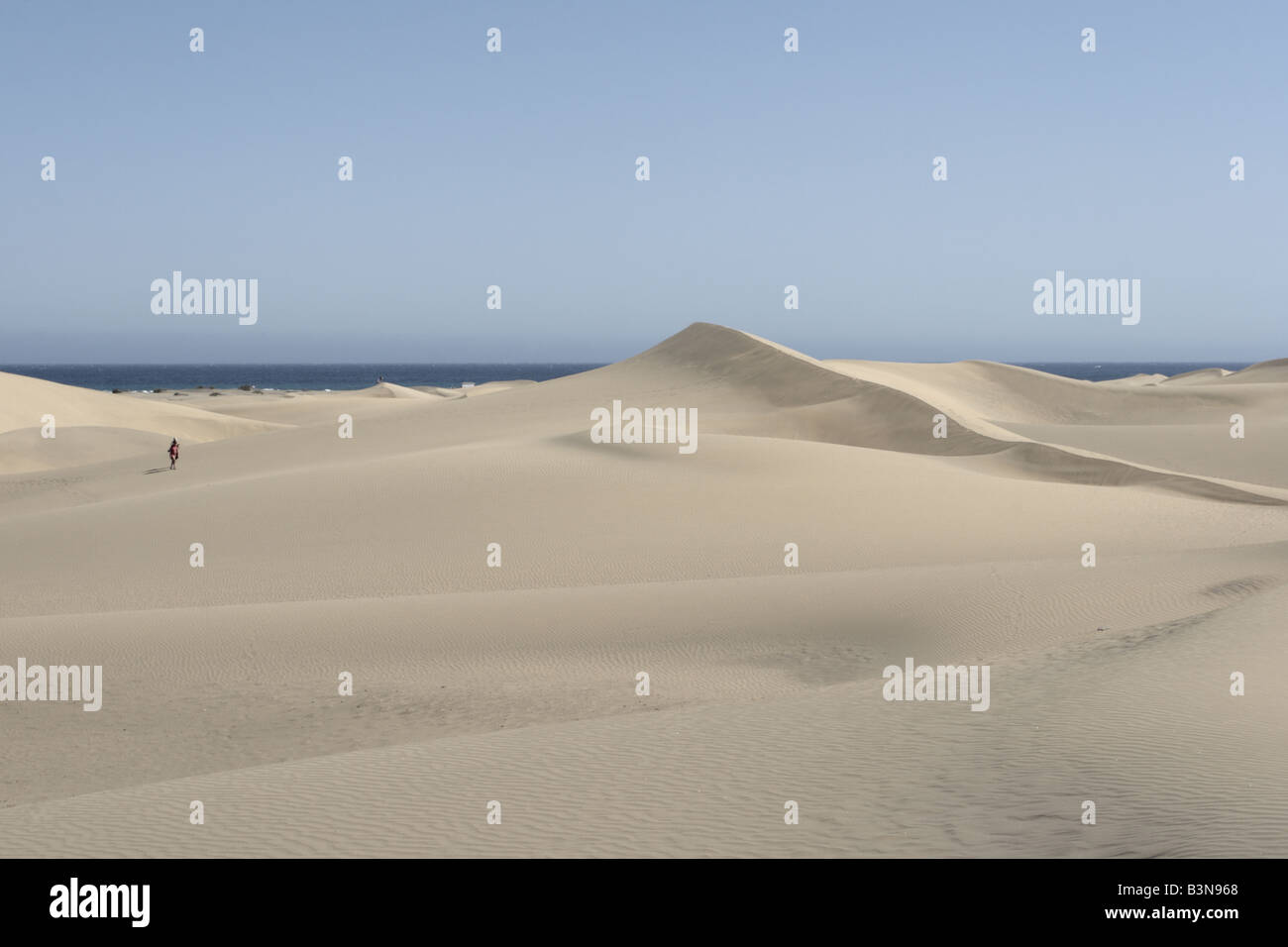 Le dune di sabbia a Maspalomas a 250 ettari di riserva naturale scolpite dal vento del sud di Gran Canaria Isole Canarie Spagna Foto Stock