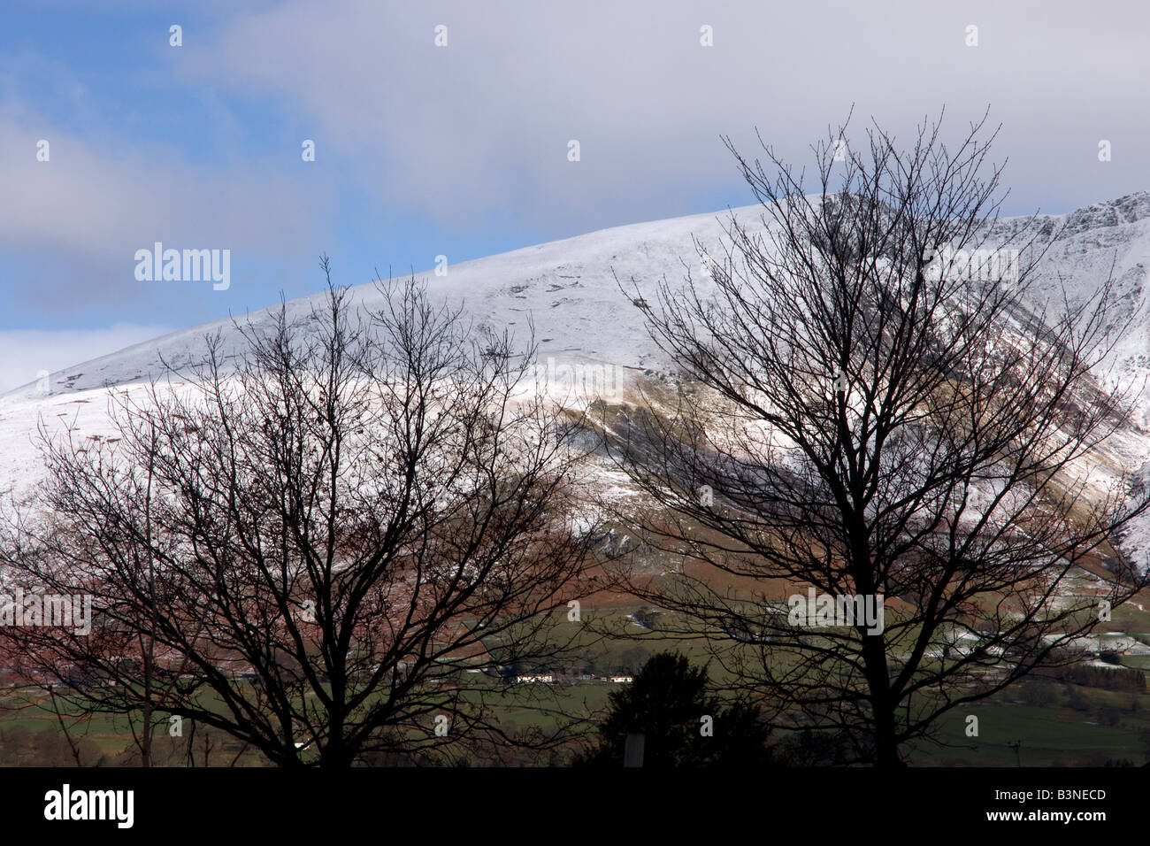 Inverno alberi in newlands valley con la neve sulla Lakeland fells Foto Stock