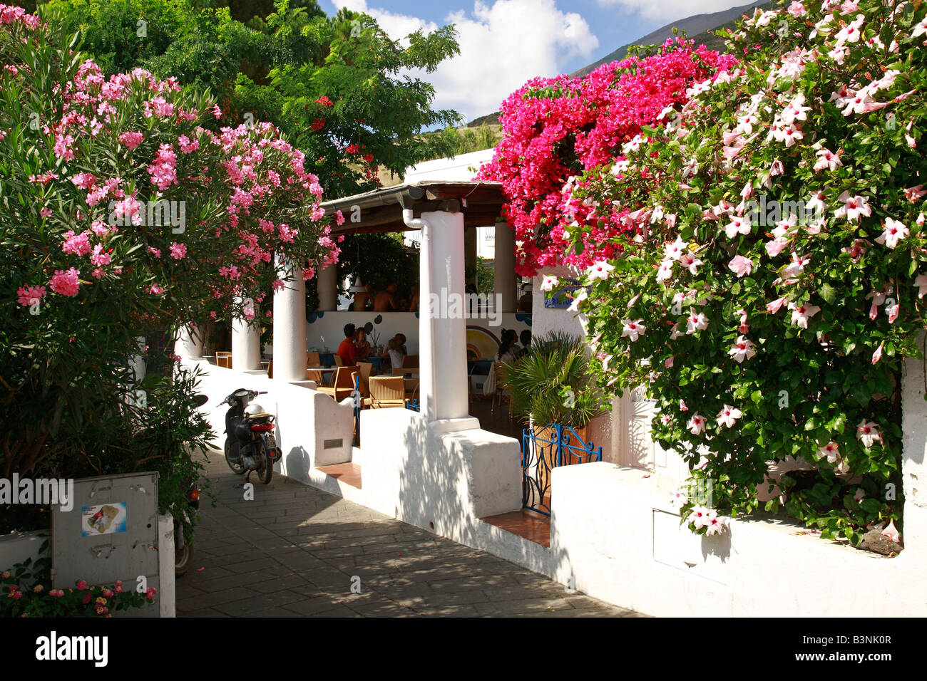 Kleines Ristorante umgeben von einer Blumenpracht aus oleandri, bouganville und Hibiskus, San Vincenzo, Vulkaninsel Stromboli, Aeolische isole, labbro Foto Stock