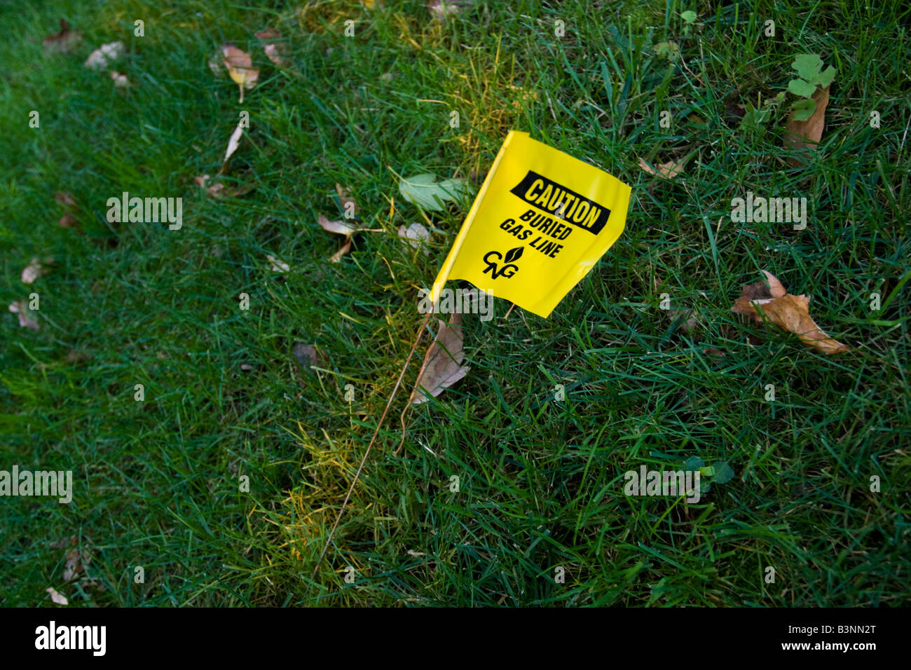 Piccola bandiera gialla bloccato nell'erba nel centro di Hartford Connecticut USA che legge attenzione sepolto linea di Gas Foto Stock