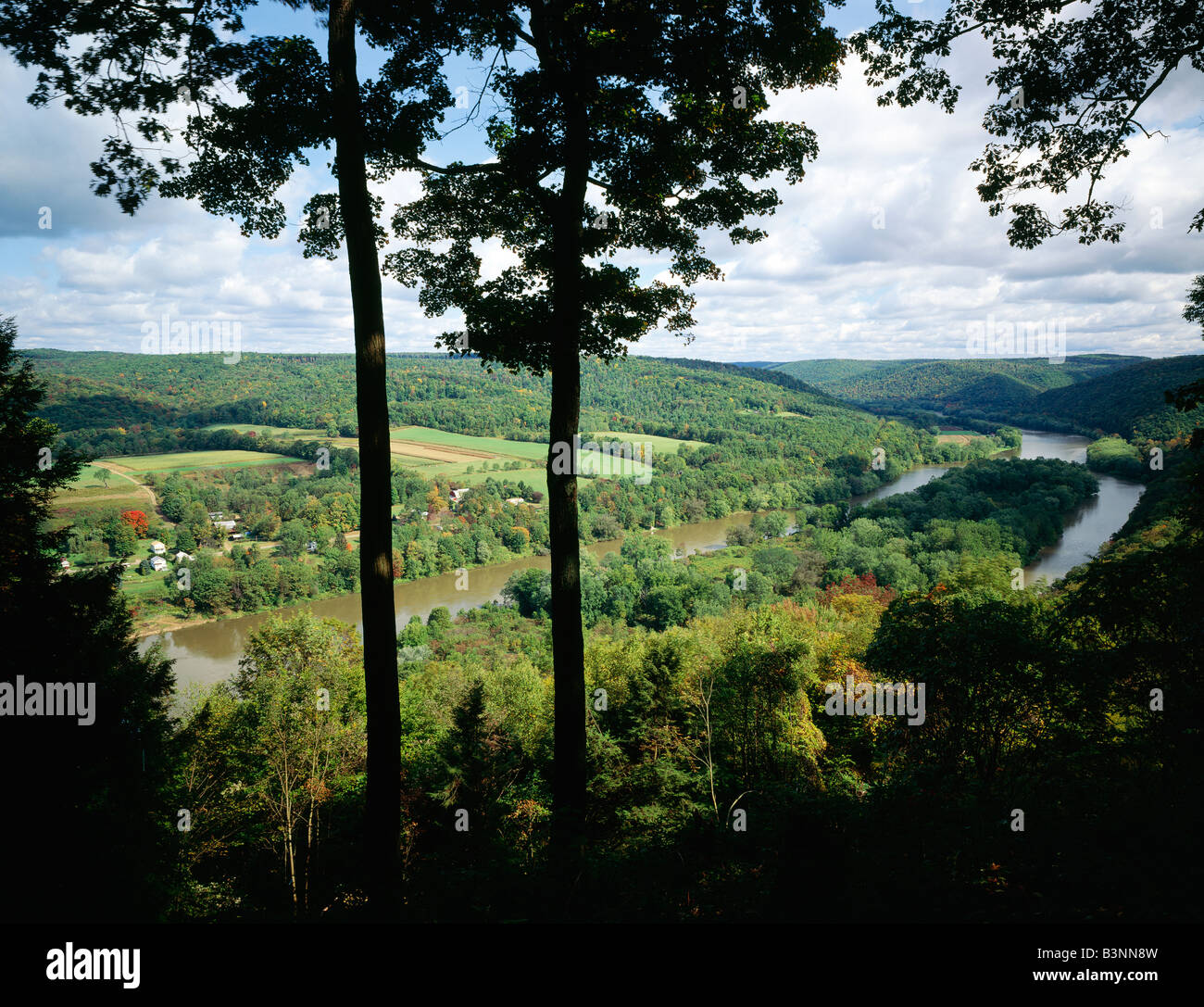 Vista estiva di Allegheny River & COURSEN ISOLA, ALLEGHENY NATIONAL FOREST; 500.000 acri, Pennsylvania, Stati Uniti d'America Foto Stock