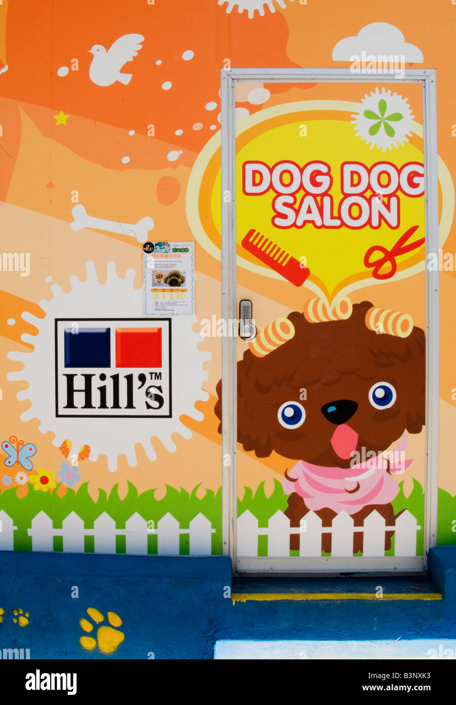 'Un cane salon a Petworld, un animale parco giochi a Hong Kong ' Foto Stock
