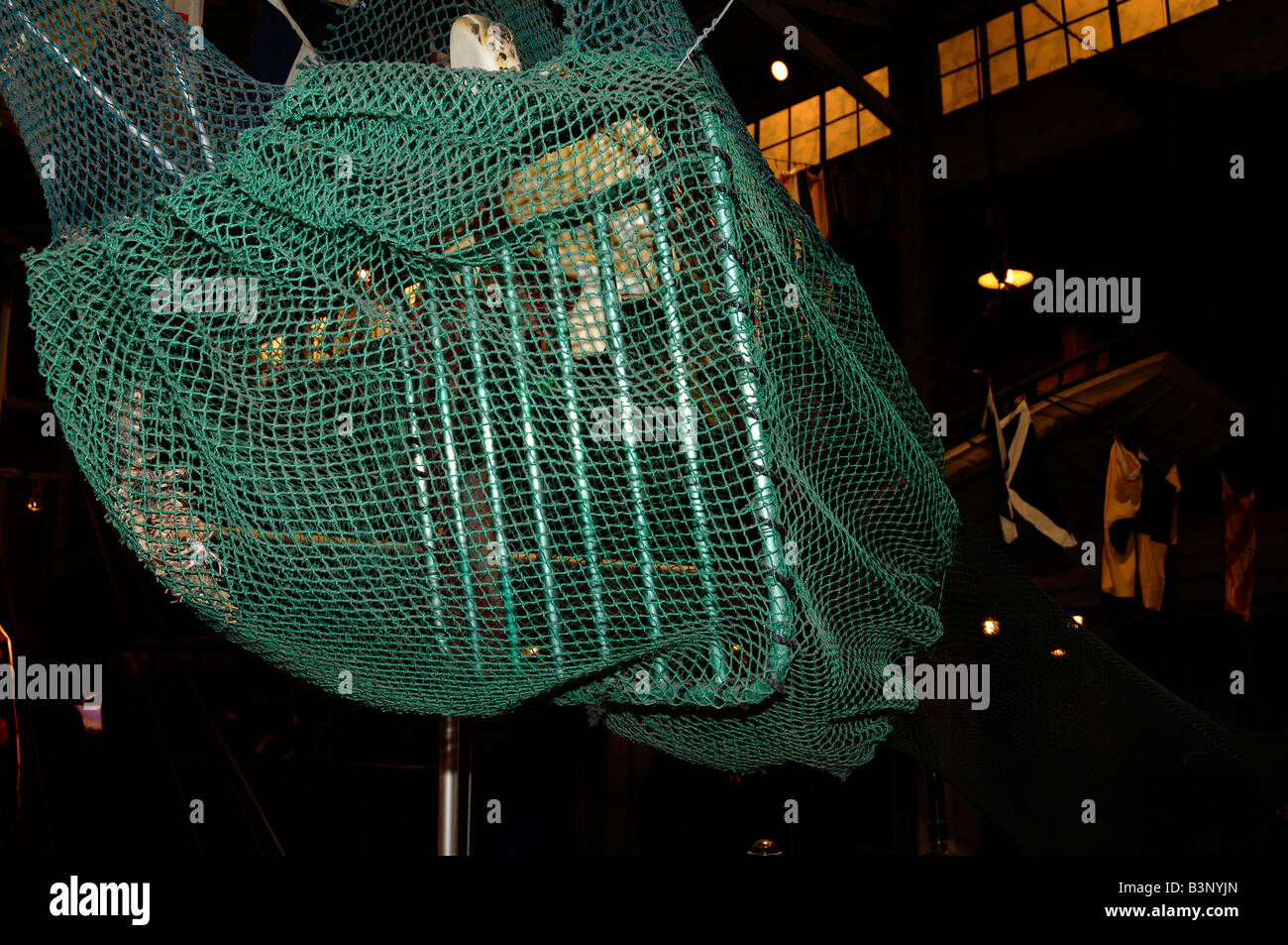 Turtle parapolvere TED Rete a strascico display Foto Stock
