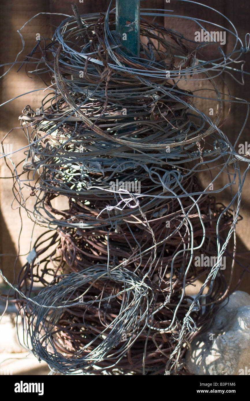 Insidie del filo utilizzato per il bracconaggio illegale nella giungla africana Foto Stock
