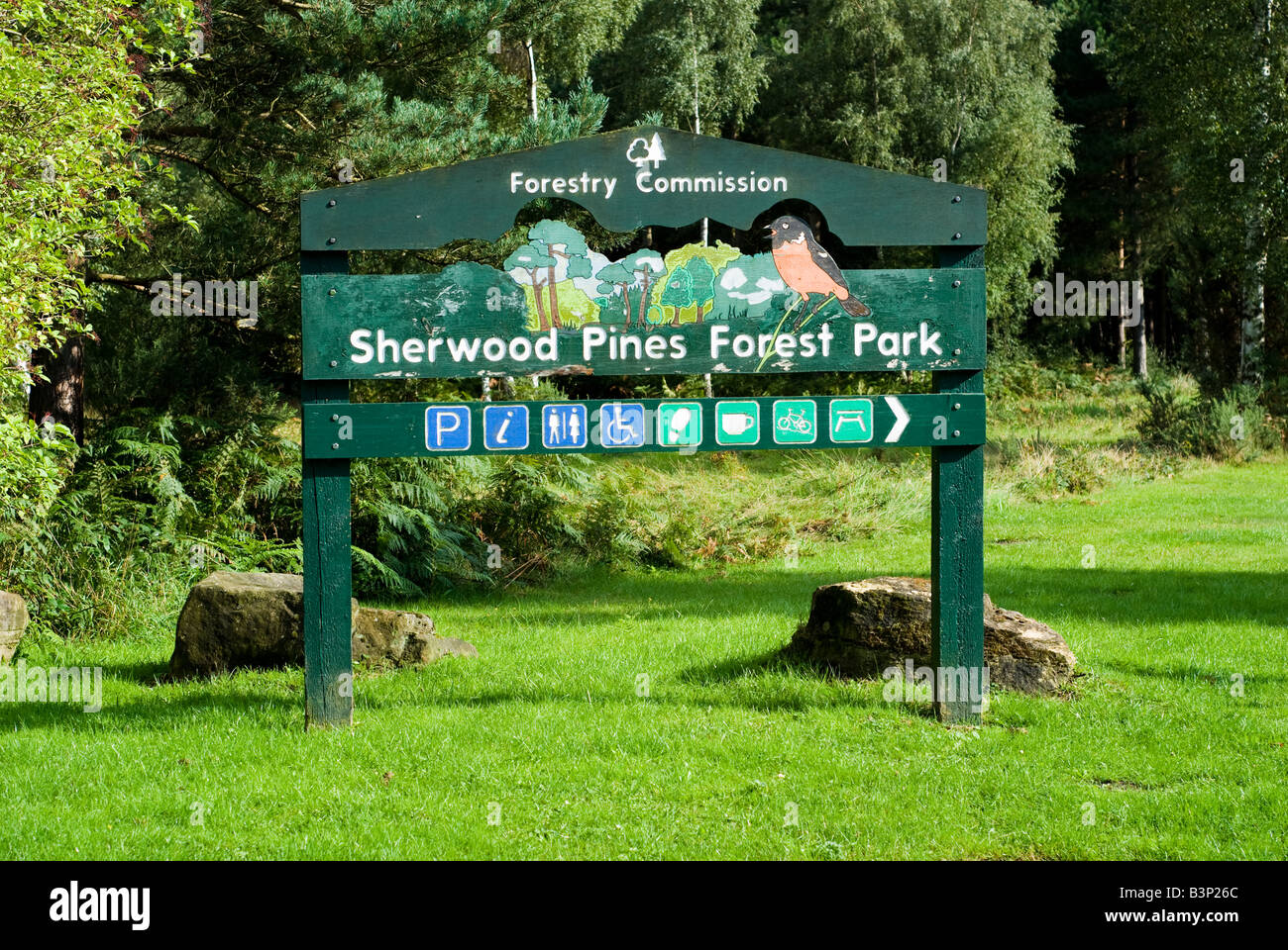 Commissione forestale segno a Sherwood Pines Edwinstowe Nottinghamshire Foto Stock