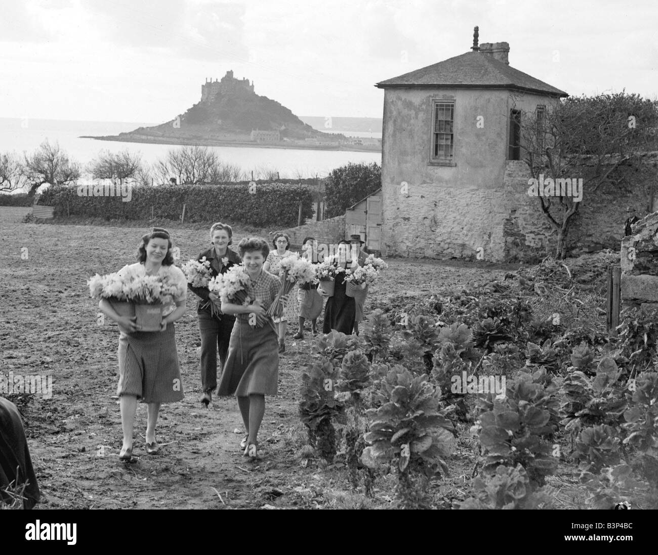 Cornish ragazze raccolta di narcisi a St Michael Foto Stock