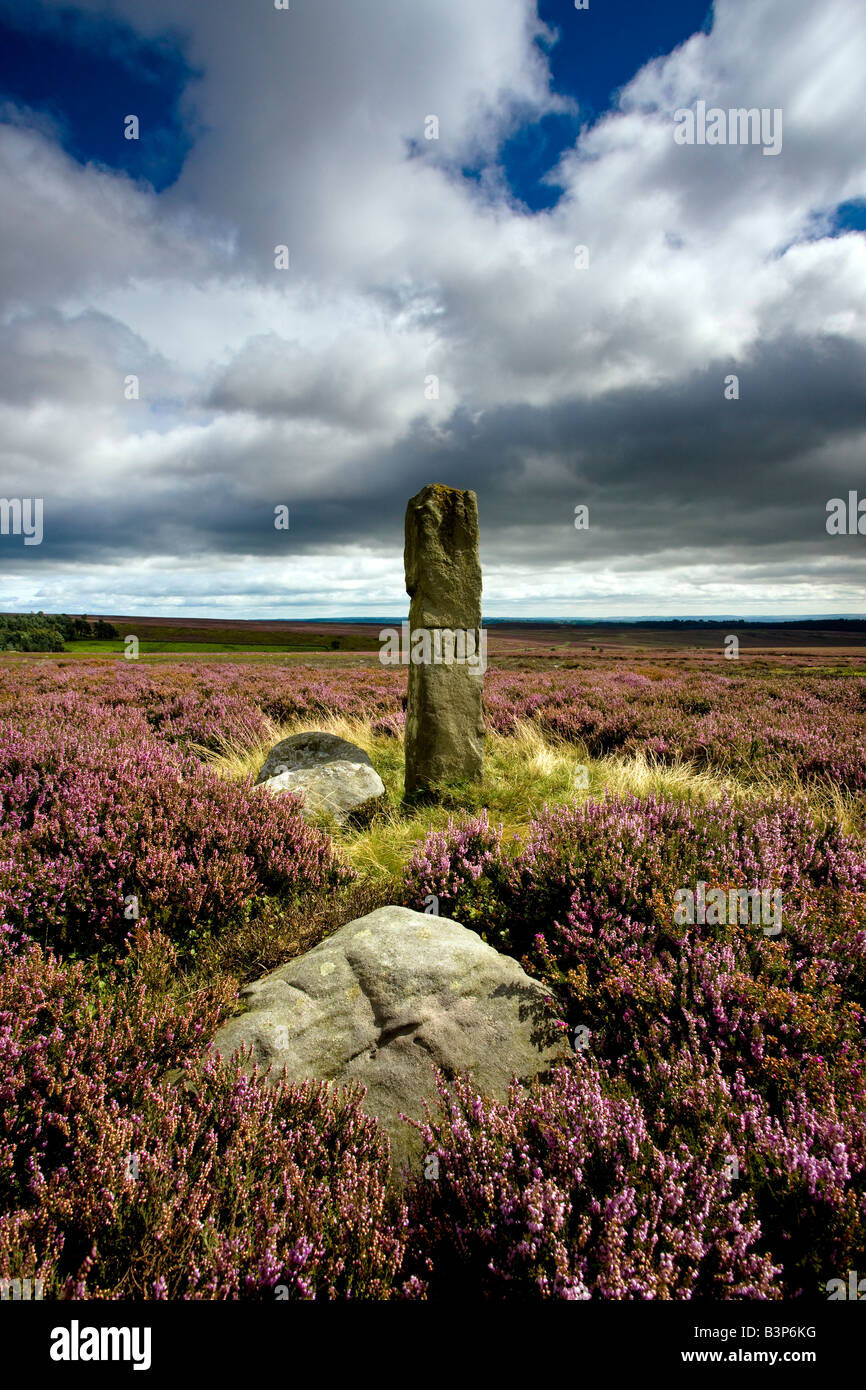 Antico casale in pietra del marcatore di confine North York Moors National Park vicino a Hutton Le Hole Foto Stock